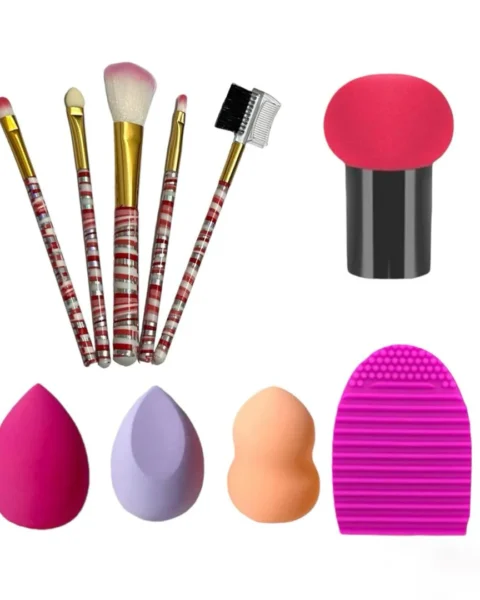 Makeup Brushes Applicators Combo Pack of 10