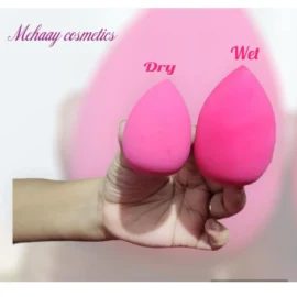 Makeup Brush With Storage and Beauty Blender